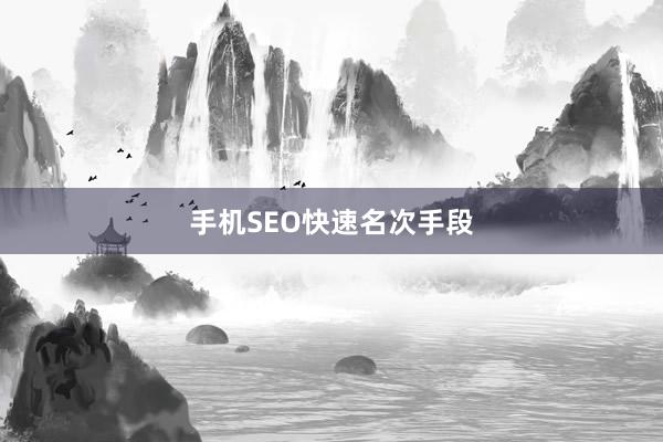 手机SEO快速名次手段