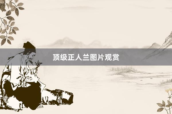 顶级正人兰图片观赏